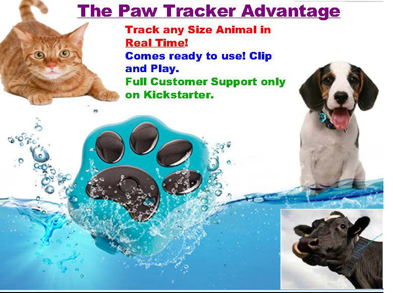 Why I Wish I Had a pet GPS 10 years ago.....