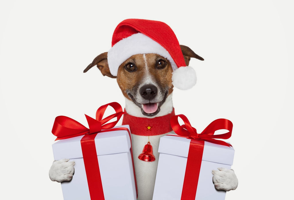 Great Gift Ideas for Pets - Cyber-Monday Deals - Black Friday 2016 Sale!
