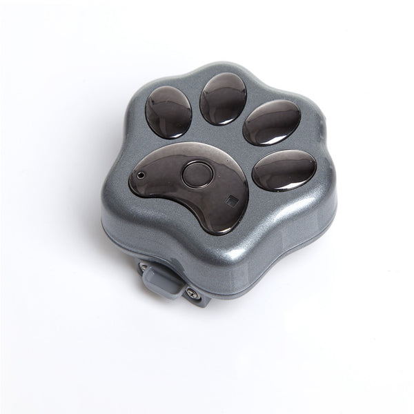The Paw Tracker - PawTracker